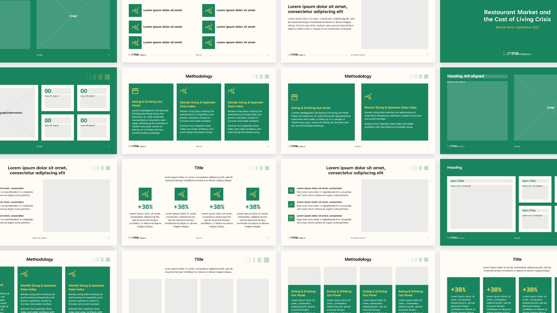 Lumina Brand Report Slides