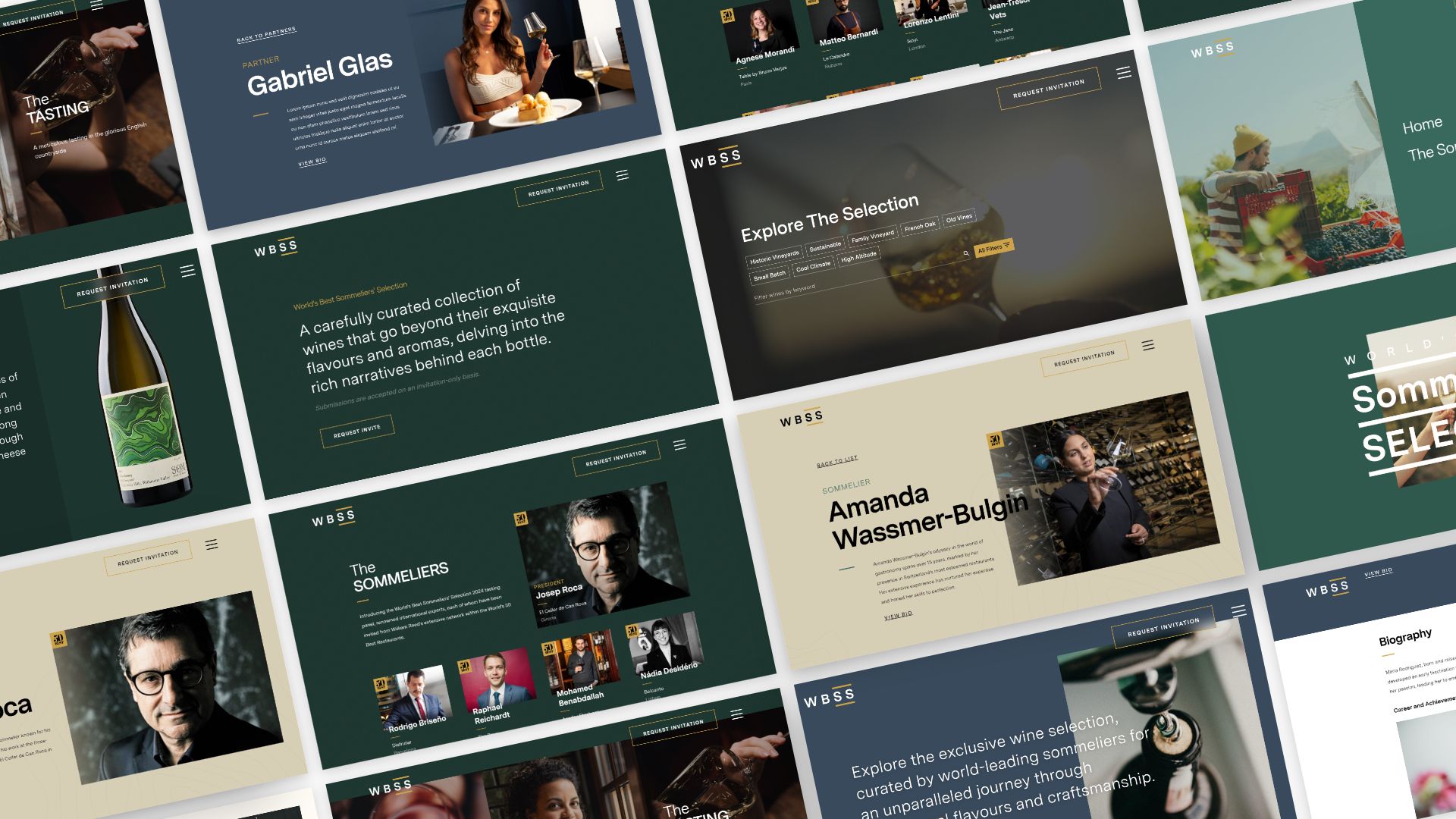 Lumina Brand guidelines page collage
